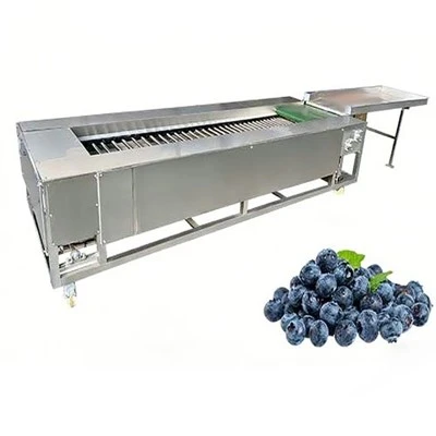 Automatic Vegetable Washing Machine