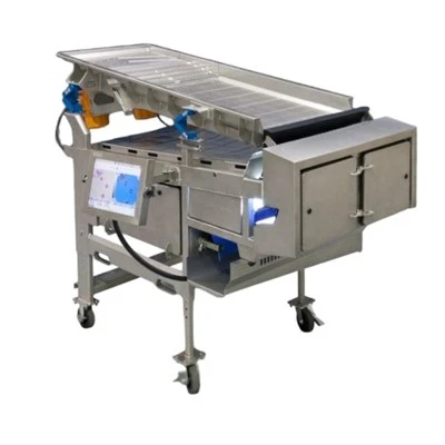 Automatic Vegetable Washing Machine